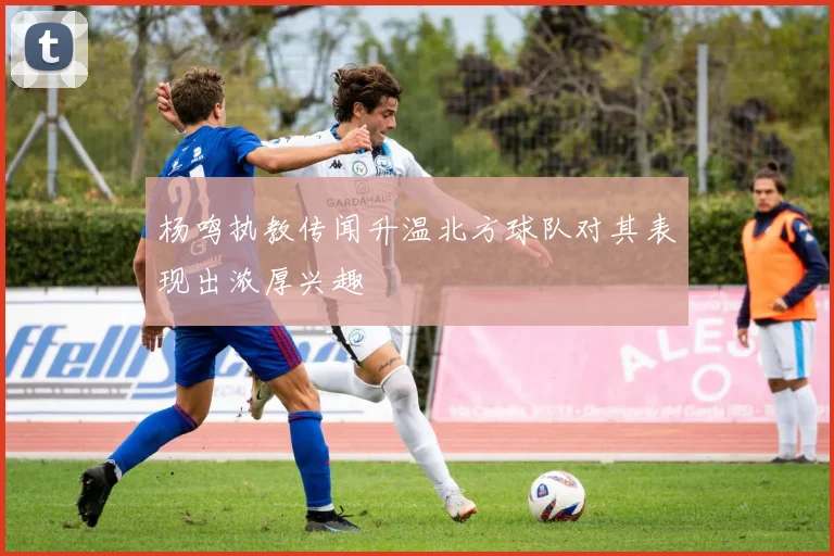 杨鸣执教传闻升温北方球队对其表现出浓厚兴趣