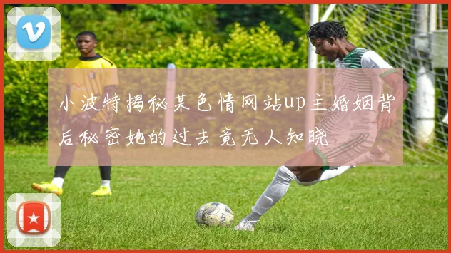 小波特揭秘某色情网站up主婚姻背后秘密她的过去竟无人知晓